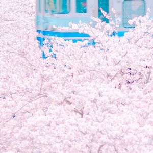 激情亚洲内射一区二区三区
