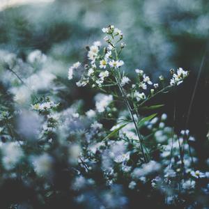 激情亚洲内射一区二区三区
